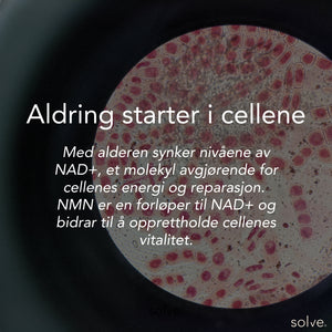 Aldring starter i cellene solve - NAD+/NMN - kosttilskudd_solve