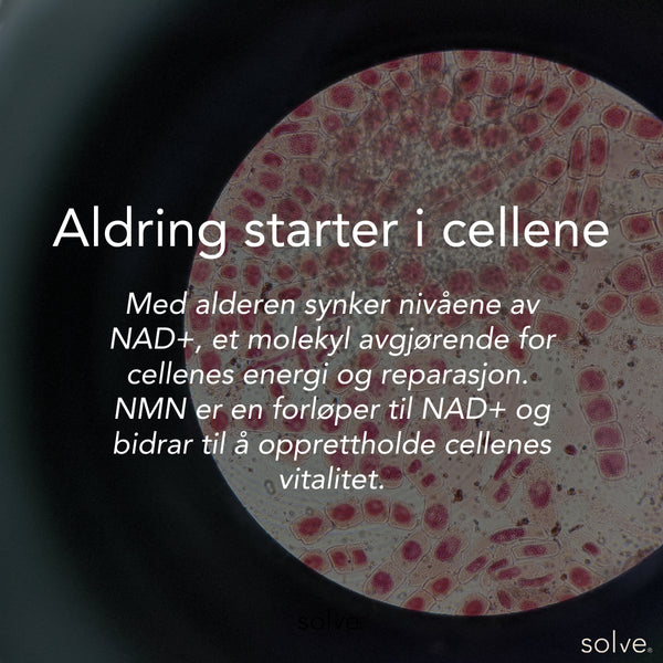 Aldring starter i cellene solve - NAD+/NMN - kosttilskudd_solve