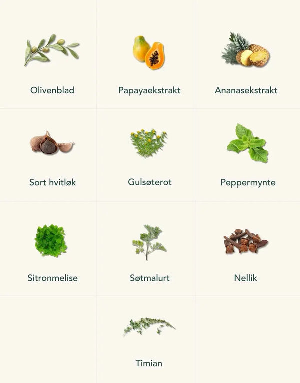 Ingrediensliste - ananas og papaya tabletter
