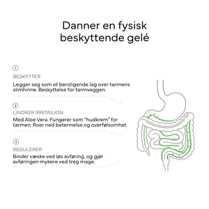 Infografikk om gelébeskyttelse i tarmen: beskytter, lindrer irritasjon og regulerer avføring, med illustrasjon av tarmsystemet