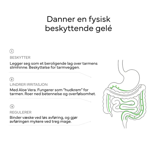 Infografikk om gelébeskyttelse i tarmen: beskytter, lindrer irritasjon og regulerer avføring, med illustrasjon av tarmsystemet